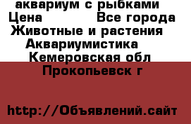 аквариум с рыбками › Цена ­ 1 000 - Все города Животные и растения » Аквариумистика   . Кемеровская обл.,Прокопьевск г.